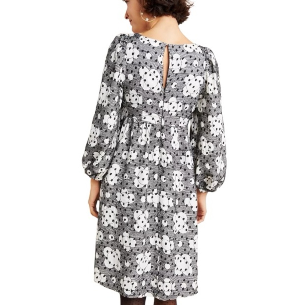 Anthropologie Jane Textured Babydoll Dress Size 6 Embroidered Polka Dot - Picture 2 of 7
